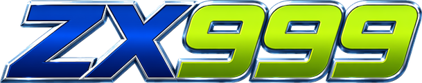 zx999 Logo